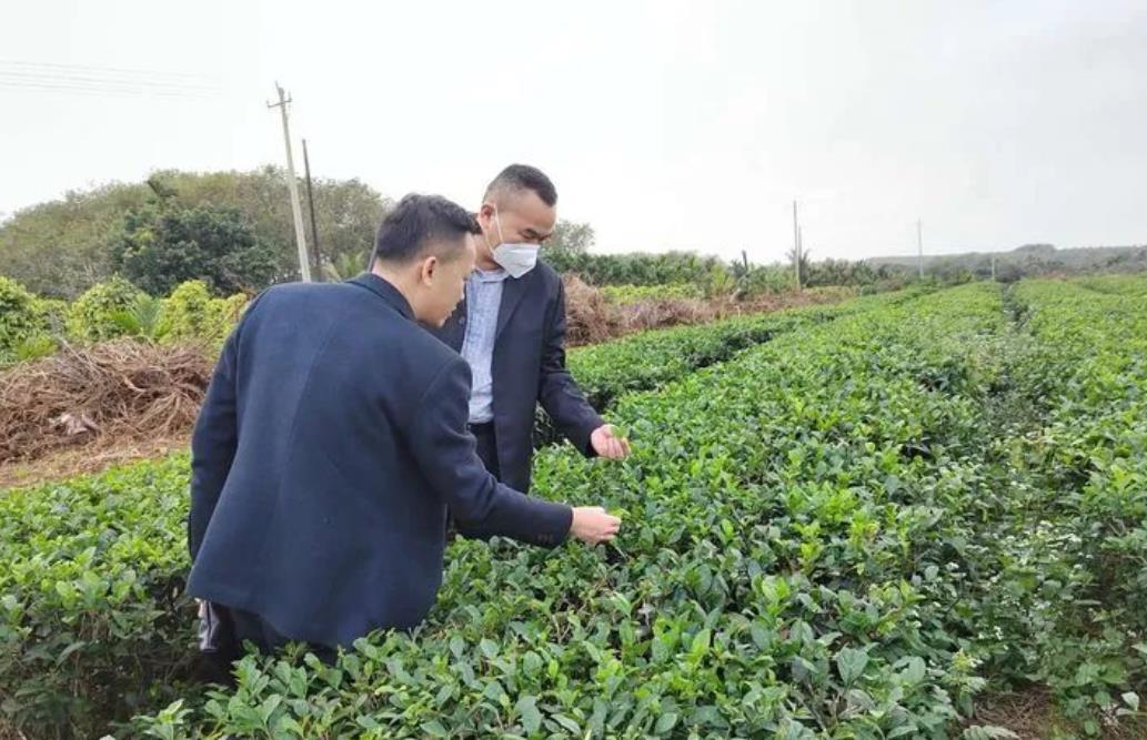 DG-2000BZ/S纏膜機(自動上膜\斷膜)